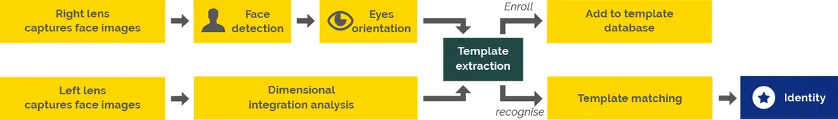 dual-detection